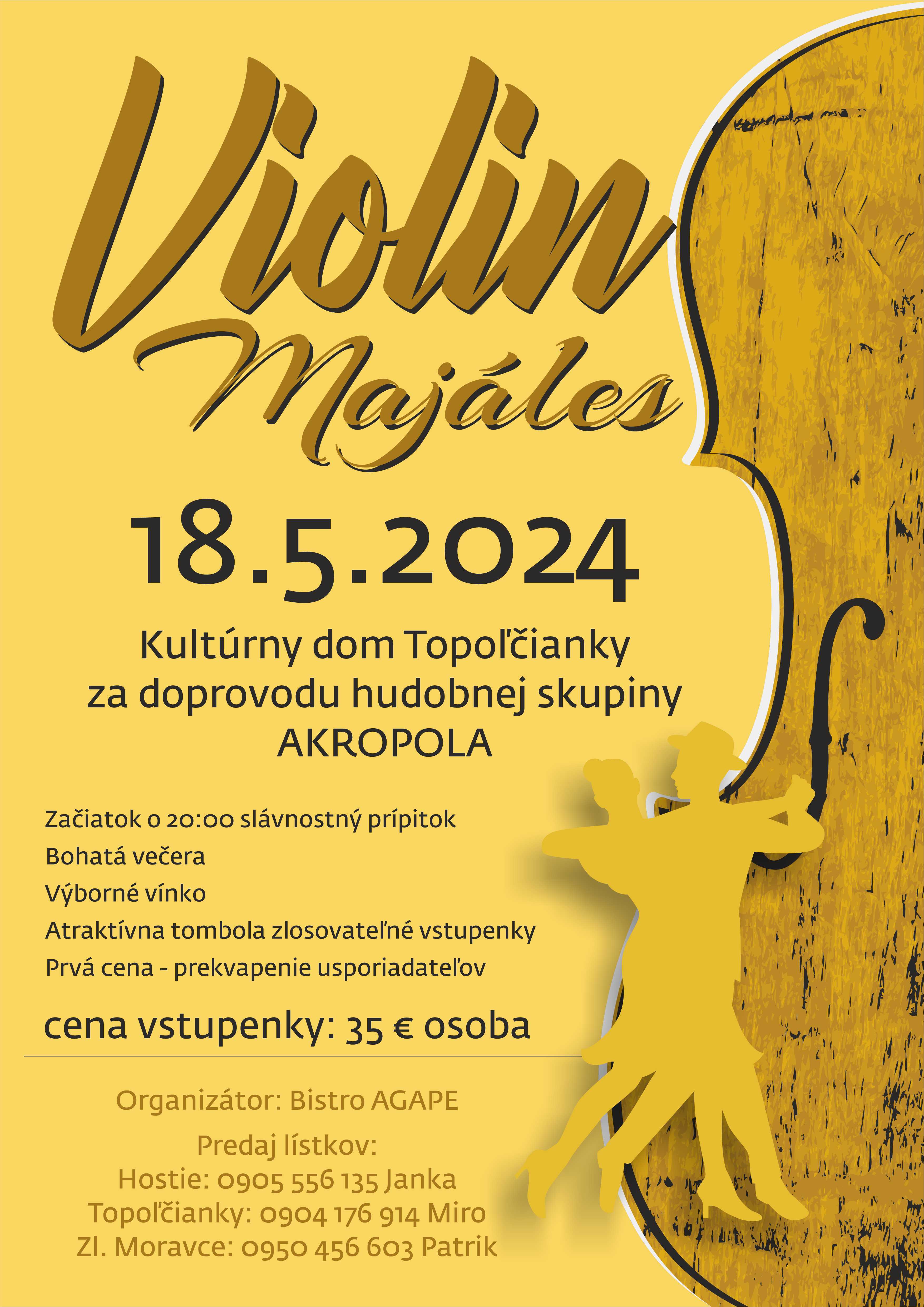 Violin Majles 2024 Topoianky 