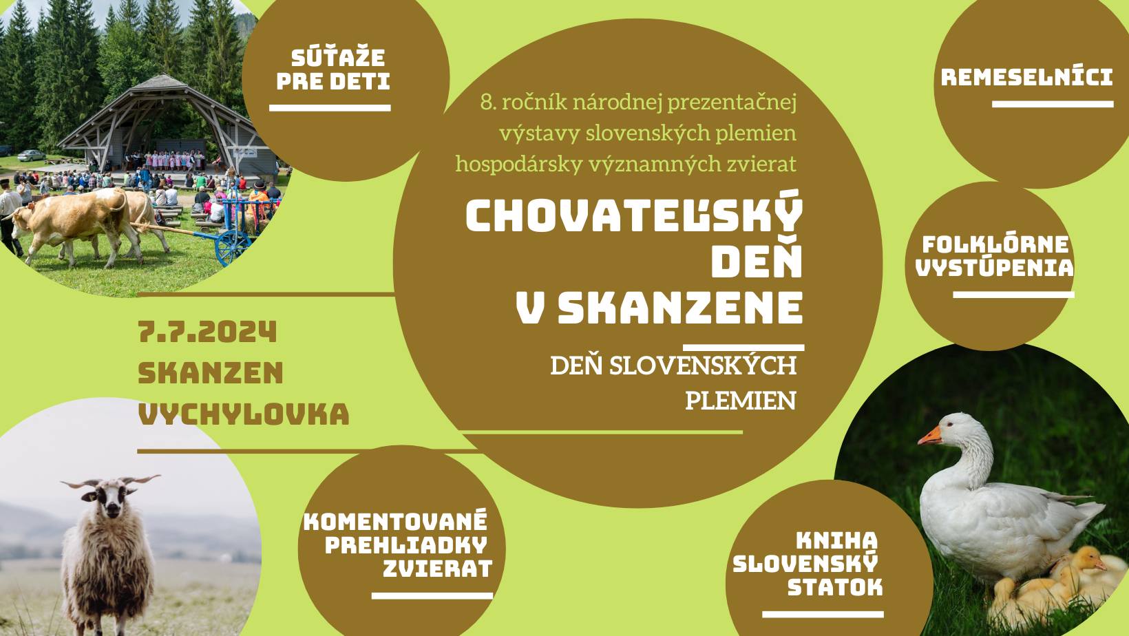 Chovatesk de v skanzene - De slovenskch plemien 2024 Vychylovka - 8. ronk 